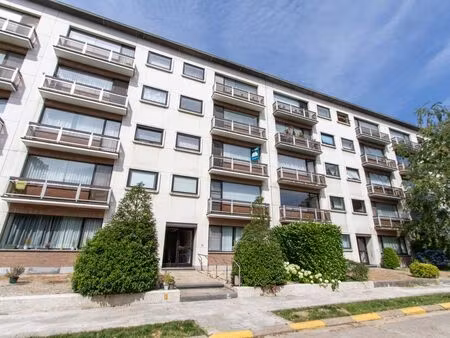 appartement à louer à schoten € 990 (lq762) - geyskens vastgoed | zimmo