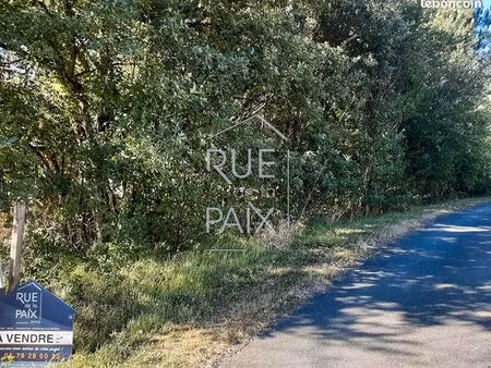 terrain 1920 m² leigne sur usseau