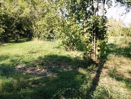terrain à bâtir