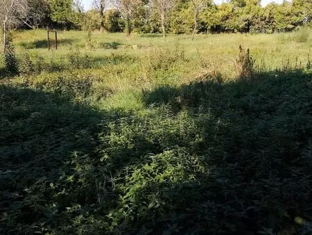 terrain constructible