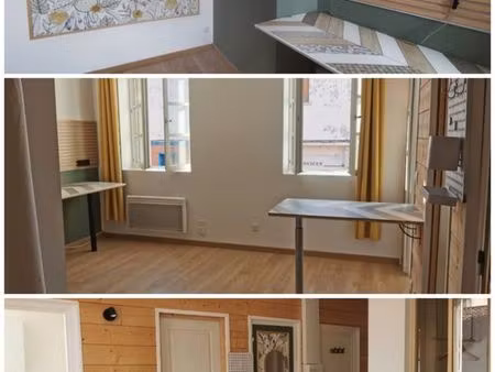 appartement t1bis centre-ville 26m2