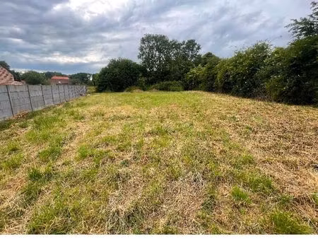 terrain constructible
