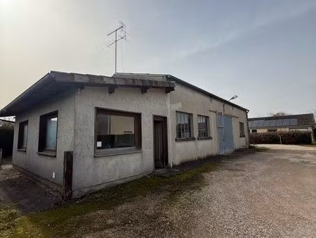 local professionnel