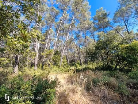 terrain 1 200 m² bagnols en foret