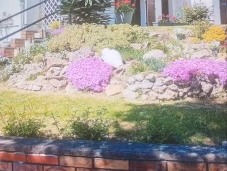villa 107 m2 sur sous sol bellerive 03700