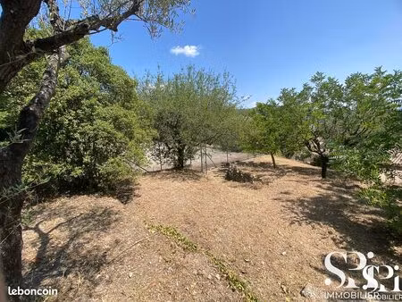 terrain 1631 m² solliès-ville