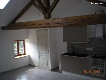 appartement ancien t3 60 m2