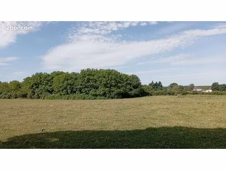 location immobilieres