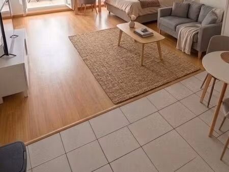 studio 31 m2 en location