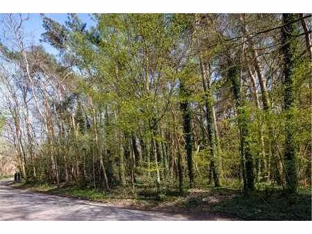 bouwgrond van ca. 2.021m2 met zuidelijke oriëntatie