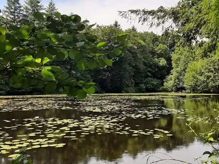 etang de loisir