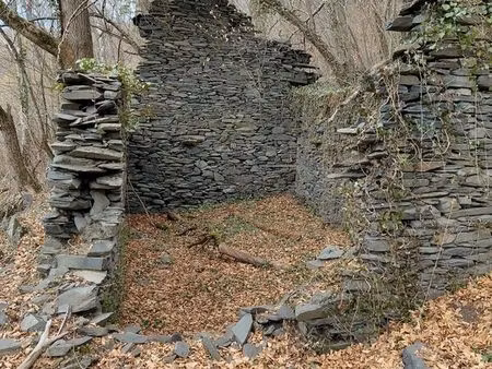 vds ruine sur terrain de 7000m2