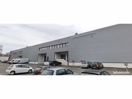bureau 137 m²