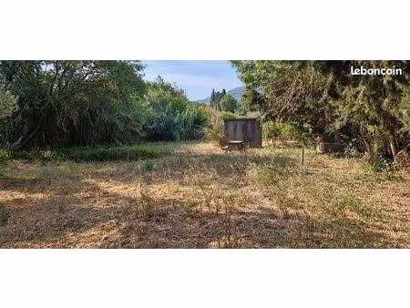 jardin  terrain