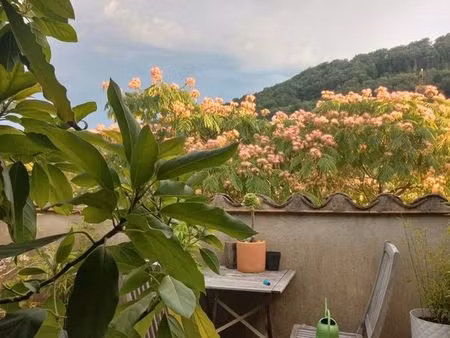 charmante maison de village 84m2 avec terrasse de toit et jardinet