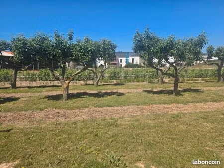 vente terrain constructible