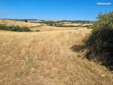 terrain agricole
