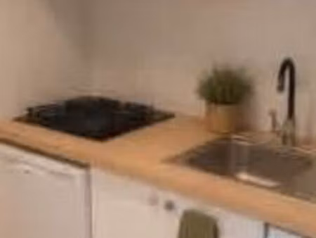 maisonnette avec terrasse et jardin