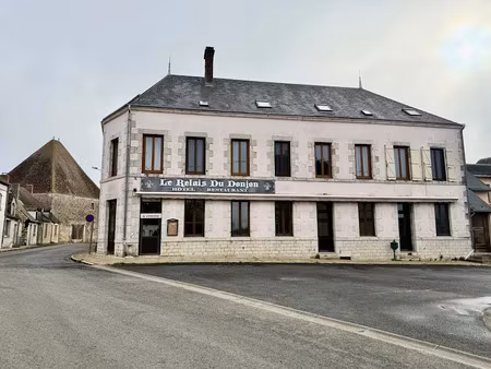 vente locaux professionnels 26 pièces 818 m² à dammarie-en-puisaye (45420)  328 600 €