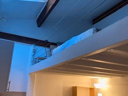 grand studio avec mezzanine au centre ville