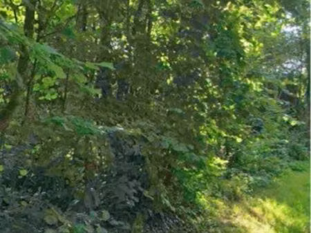 terrain epias rhus