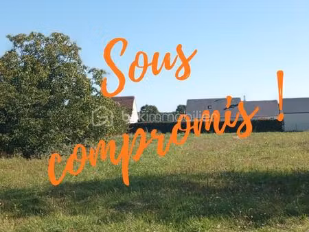 terrain constructible