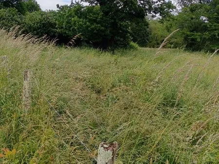 prairies