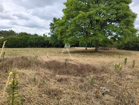 terrain constructible viabilisé à vendre