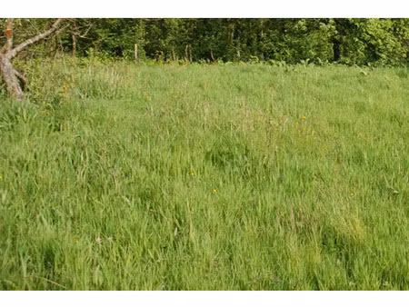 vente terrain 391 m² fécamp (76400)