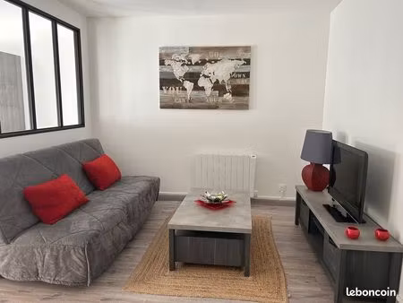 magnifique appartement meublé 46m2