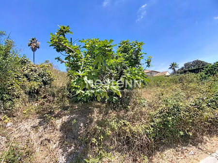 terrain avec pc 1669m2 - vallauris-les impiniers -constructible-piscinable