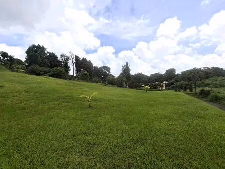 terrain à vendre