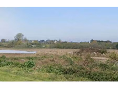 trecobat morlaix