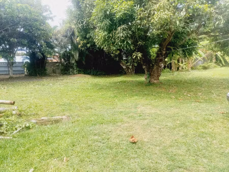 maison à vendre goyave 5 pièce(s) 244m2 370 000€