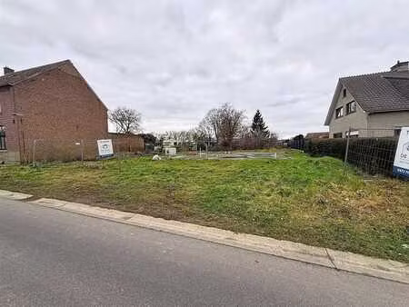 terrain à vendre avec permis et plans à lierde.
