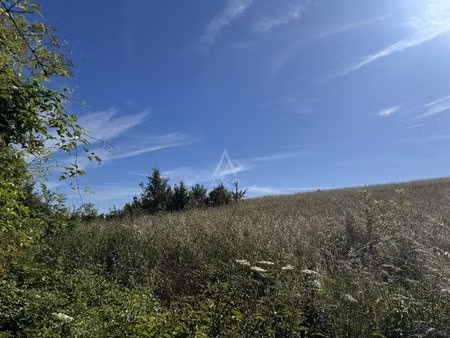 terrain