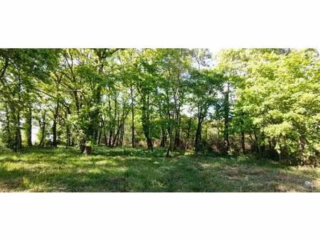 terrain constructible boise 2980m2