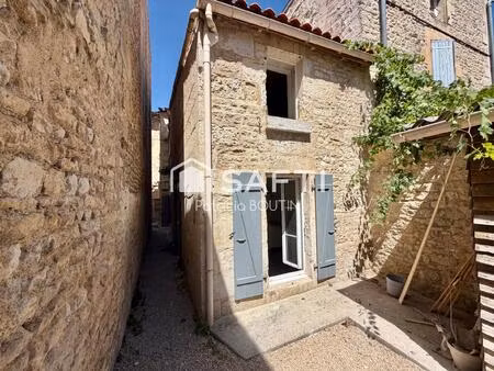 3 maisons en pierre avec une cour et cabanons a niort !