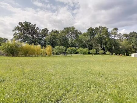 grand terrain constructible viabilisé