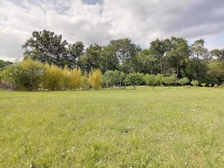 grand terrain constructible viabilisé