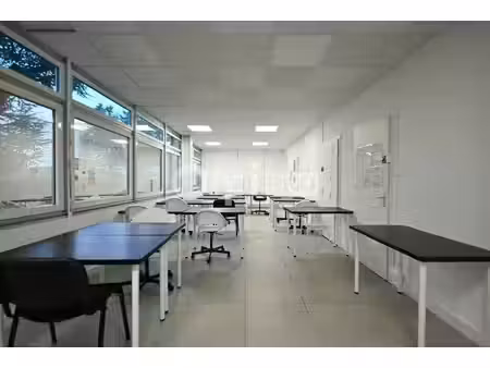 location bureaux saint-priest 69800 234m²