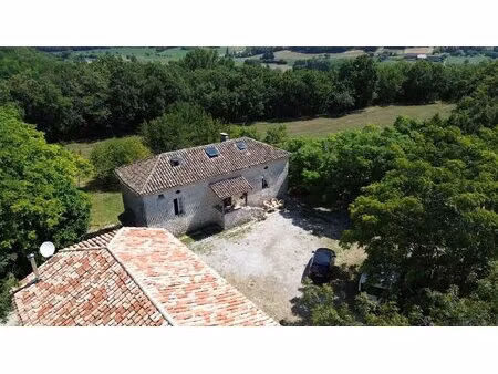 maison en pierre avec 2 gites  piscine et 4 hectares