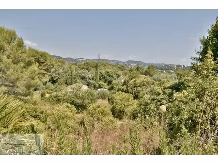 mougins pibonson - magnifique terrain 3000m2 avec permis de construire