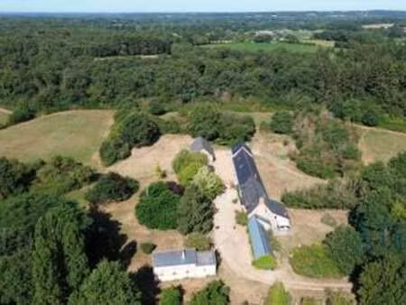 vente maison à morannes-sur-sarthe (49640) : à vendre / 369m² morannes-sur-sarthe