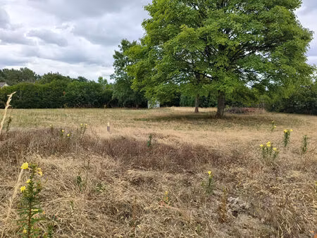 vente terrain  765.00m²  yvré