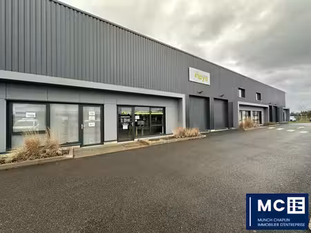 location local d’activités eschau 67114 153m²