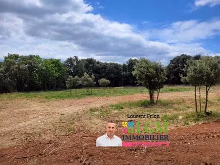 terrain à vendre 613 m2 canet