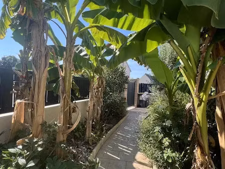 vente maison 6 pièces 119 m² à tours (37000)  405 000 €