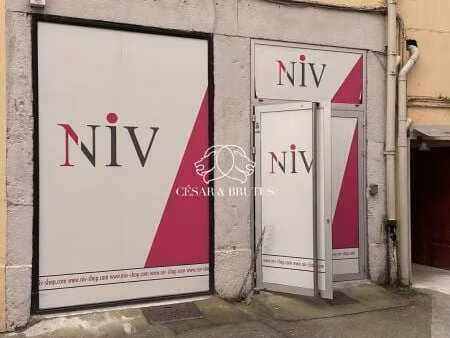 location commerce lyon 69006 128m²