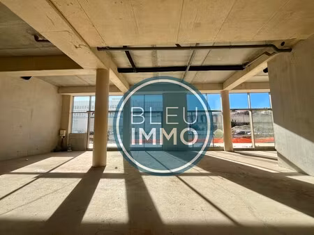 location commerce nice 06200 320m²